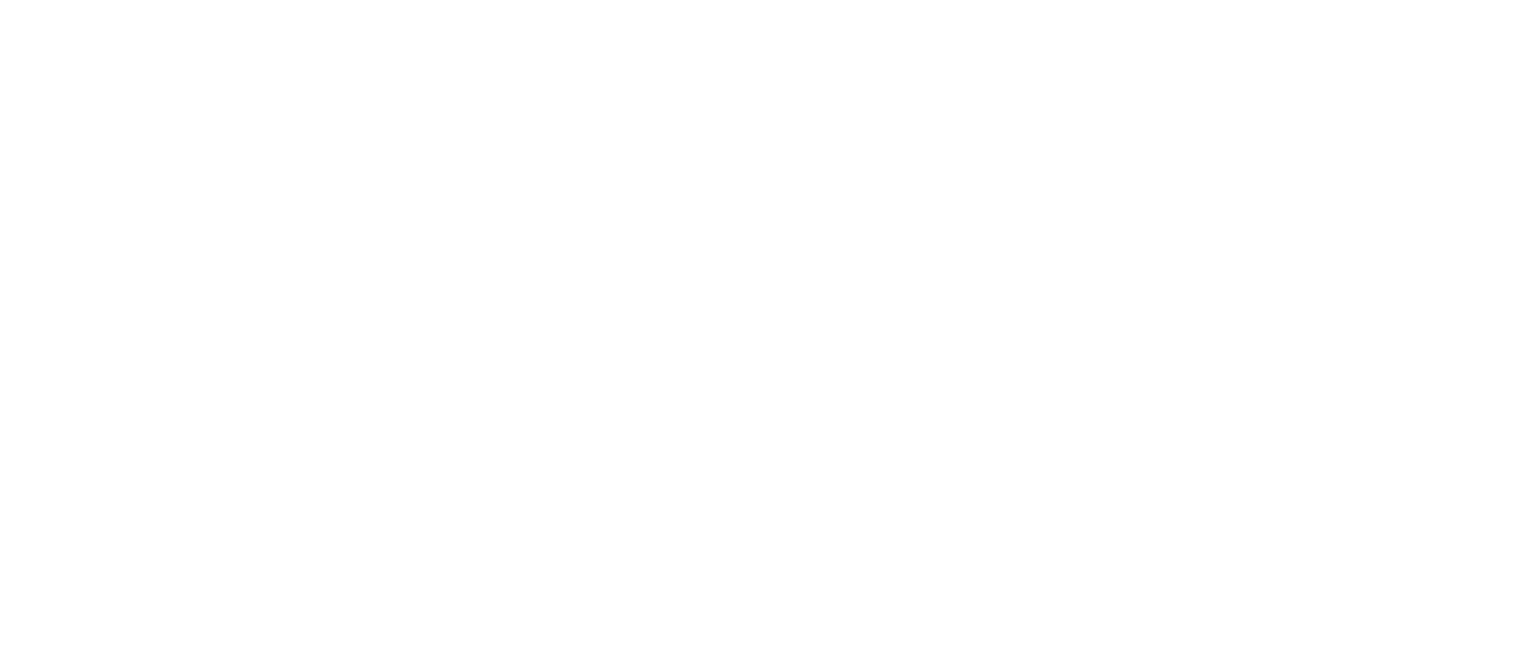 Guichet TLS logo
